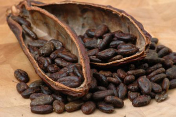 Cocoa-Flavanols